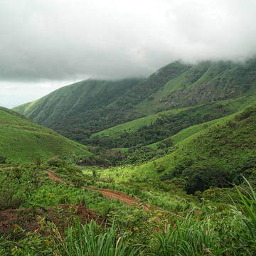 Réserve naturelle intégrale du Mont Nimba