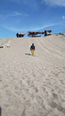 Sand Dunes View Deck