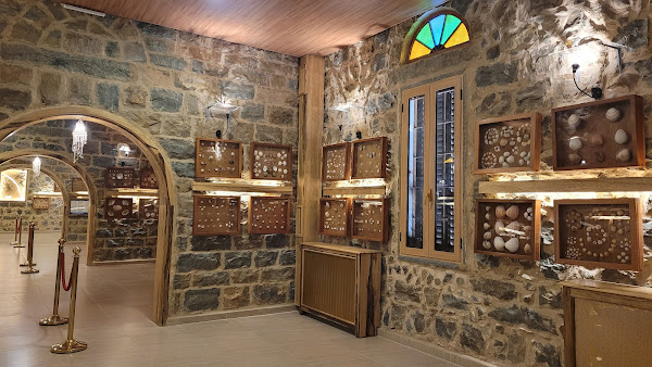 Scientific Museum of Shells