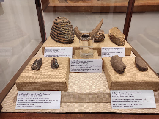 Seethawaka Museum සීතාවක කෞතුකාගාරය