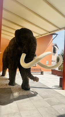 Silvia Zenari Civic Museum of Natural History