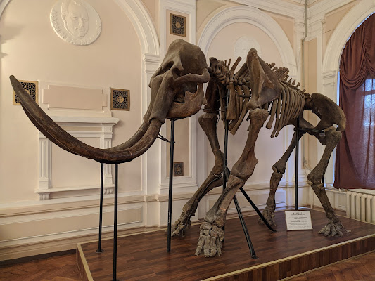 State Museum of Nature of V. N. Karazin Kharkiv National University