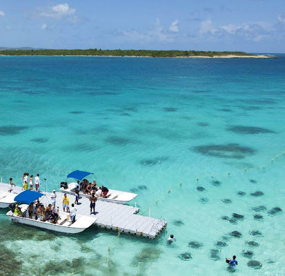 Stingray City Antigua