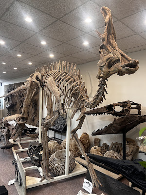 Stones 'N Bones Museum