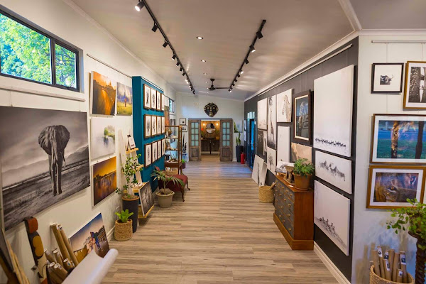 Tami Walker Fine Art Gallery