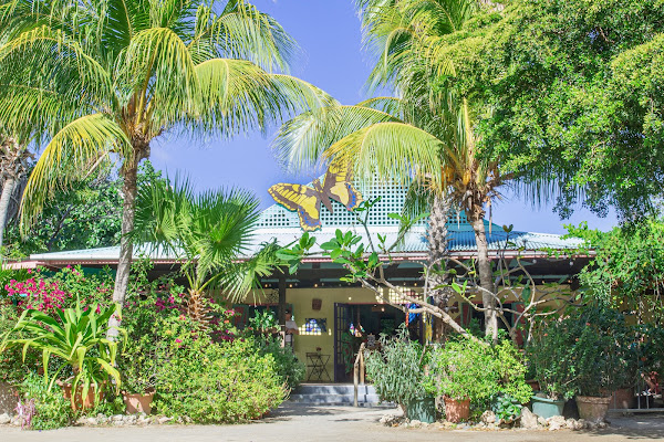 The Butterfly Farm Aruba