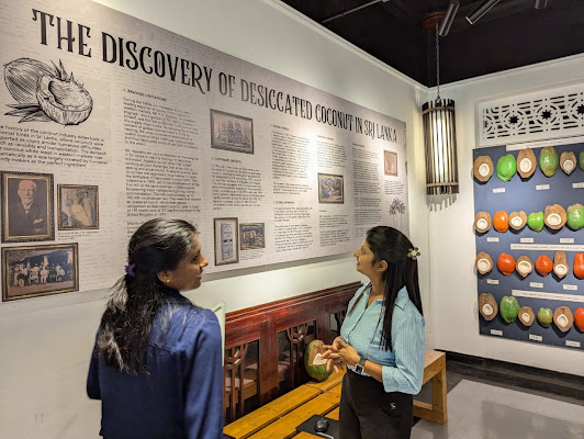 The Coconut Museum By Silvermill