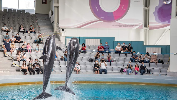 The Dolphinarium of Constanța