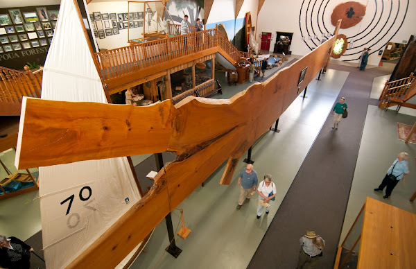 The Kauri Museum