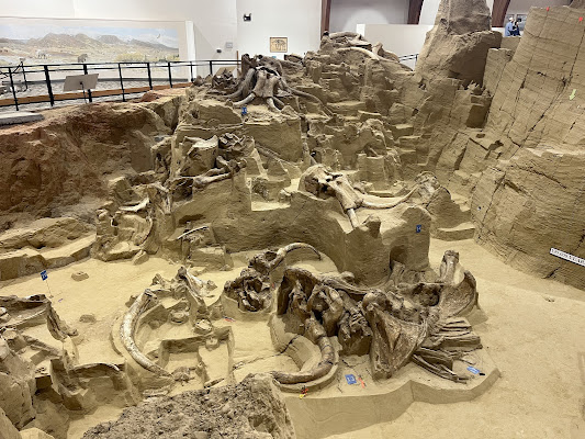 The Mammoth Site