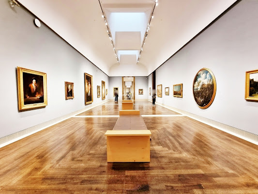 The Museum of Fine Arts, Houston