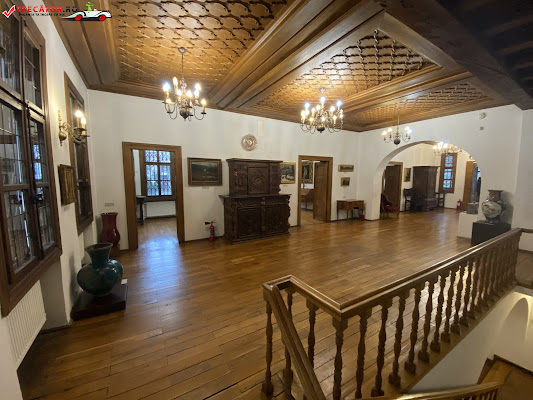 "Theodor Pallady" Museum