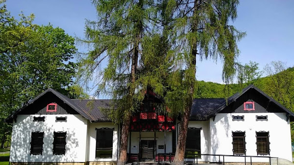 Tsentr Spadshchyny Vyhodsʹkoyi Vuzʹkokoliyky