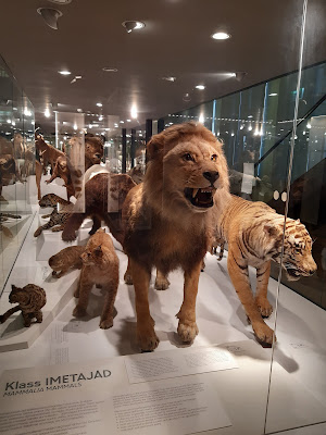 University of Tartu, Museum of Natural History