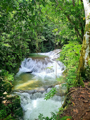 Venture River Falls, Farm Tour & Campsite