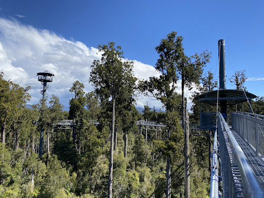 West Coast Tree Top - Zipline South Island