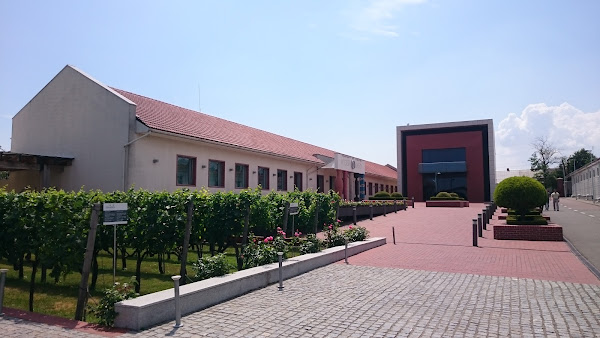 Wine Culture Center Shabo