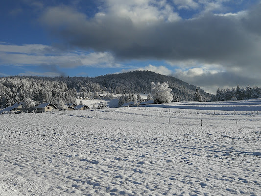 Zavod Rihtarjeva domačija, zavod za izobraževanje, kulturo, Razvedrilno in rekreacijsko dejavnost ter turizem