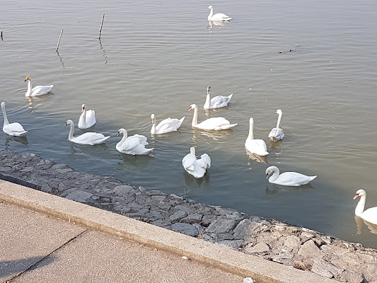 Zavod Za Zastitu Spomenika